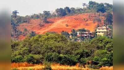 Forest dept sets up dedicated unit for compensatory afforestation