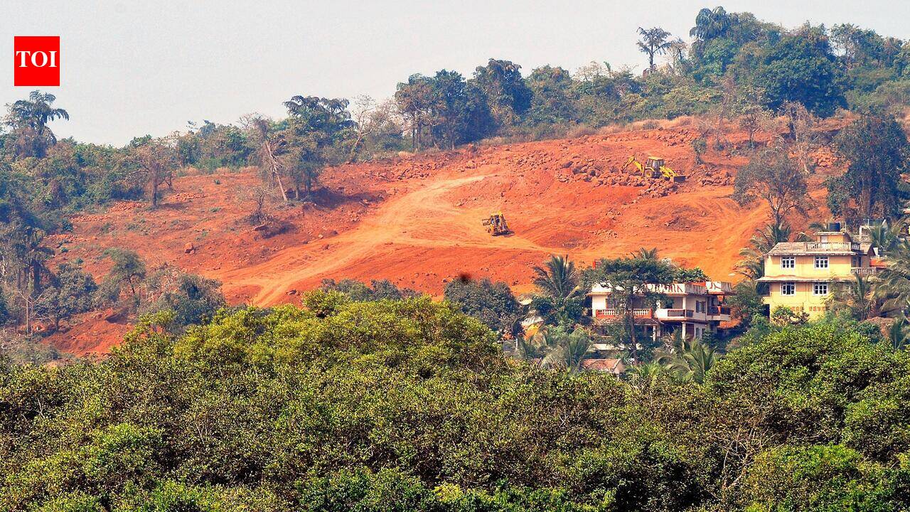 Forest dept sets up dedicated unit for compensatory afforestation
