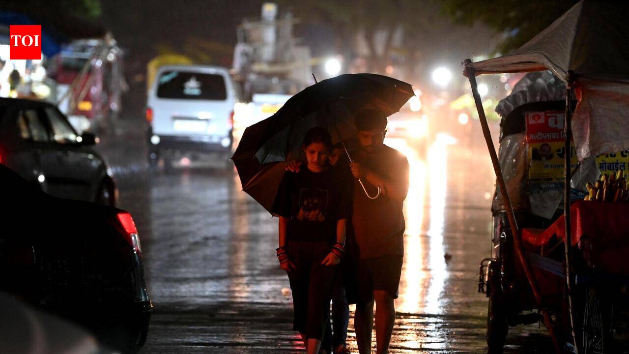 Most Chhattisgarh districts return to normal rainfall; seven record excess rain till July 30