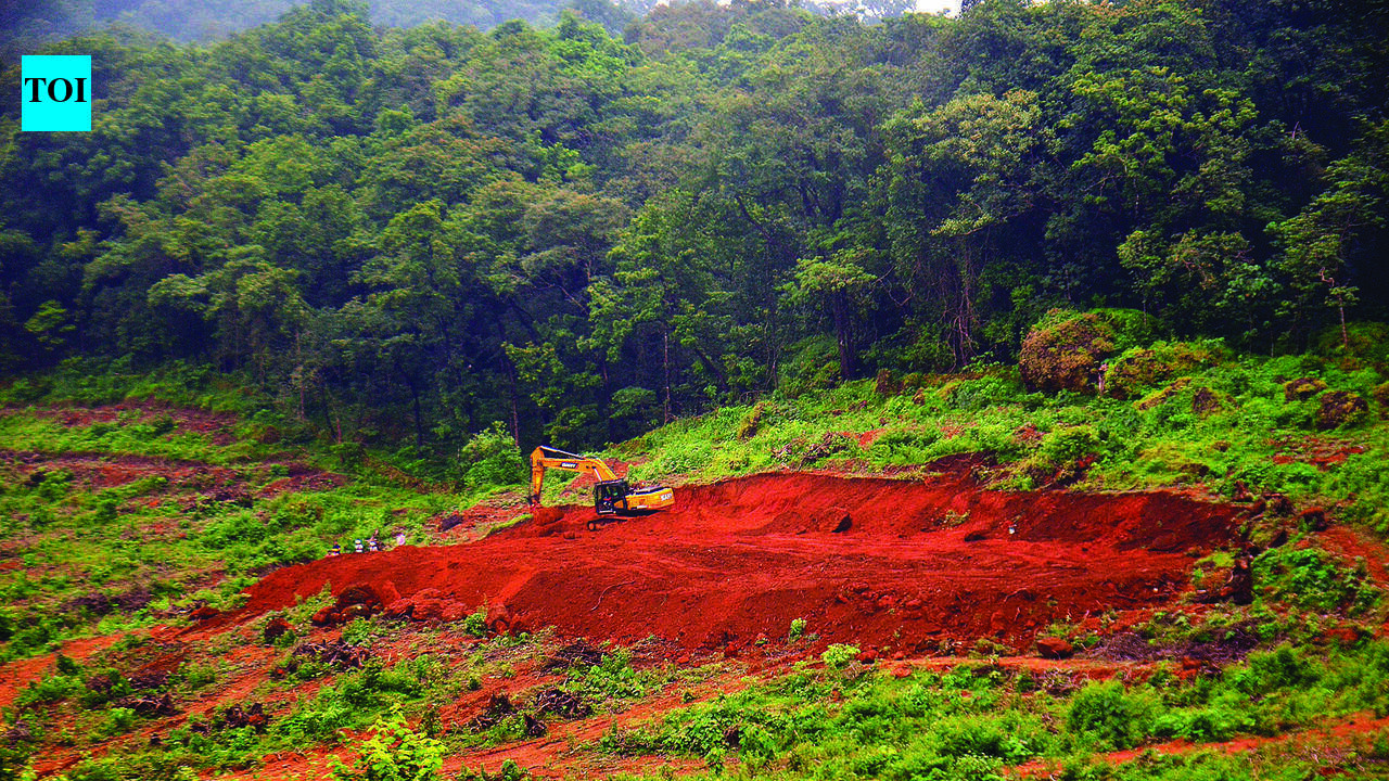 Company seeks Centre’s nod for Tamnar power line work in South Goa