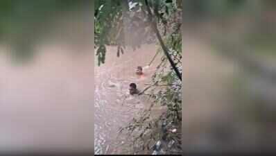 11-year-old girl drowns after falling into canal near Anand SP office
