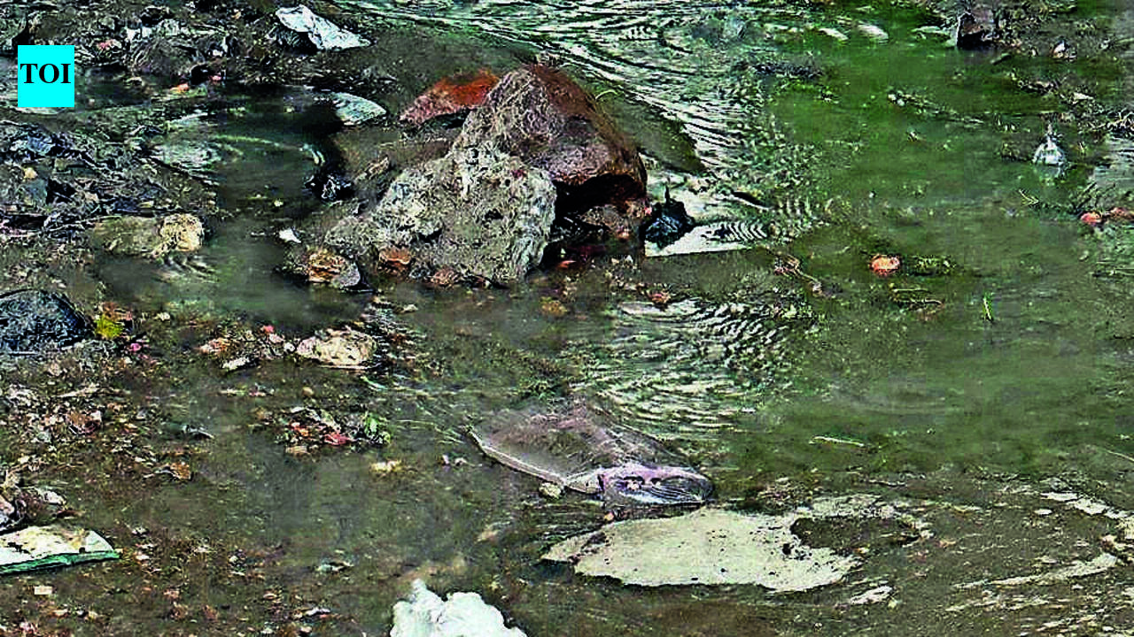 Deluge Exposes Nagpur’s Drainage Design Defects