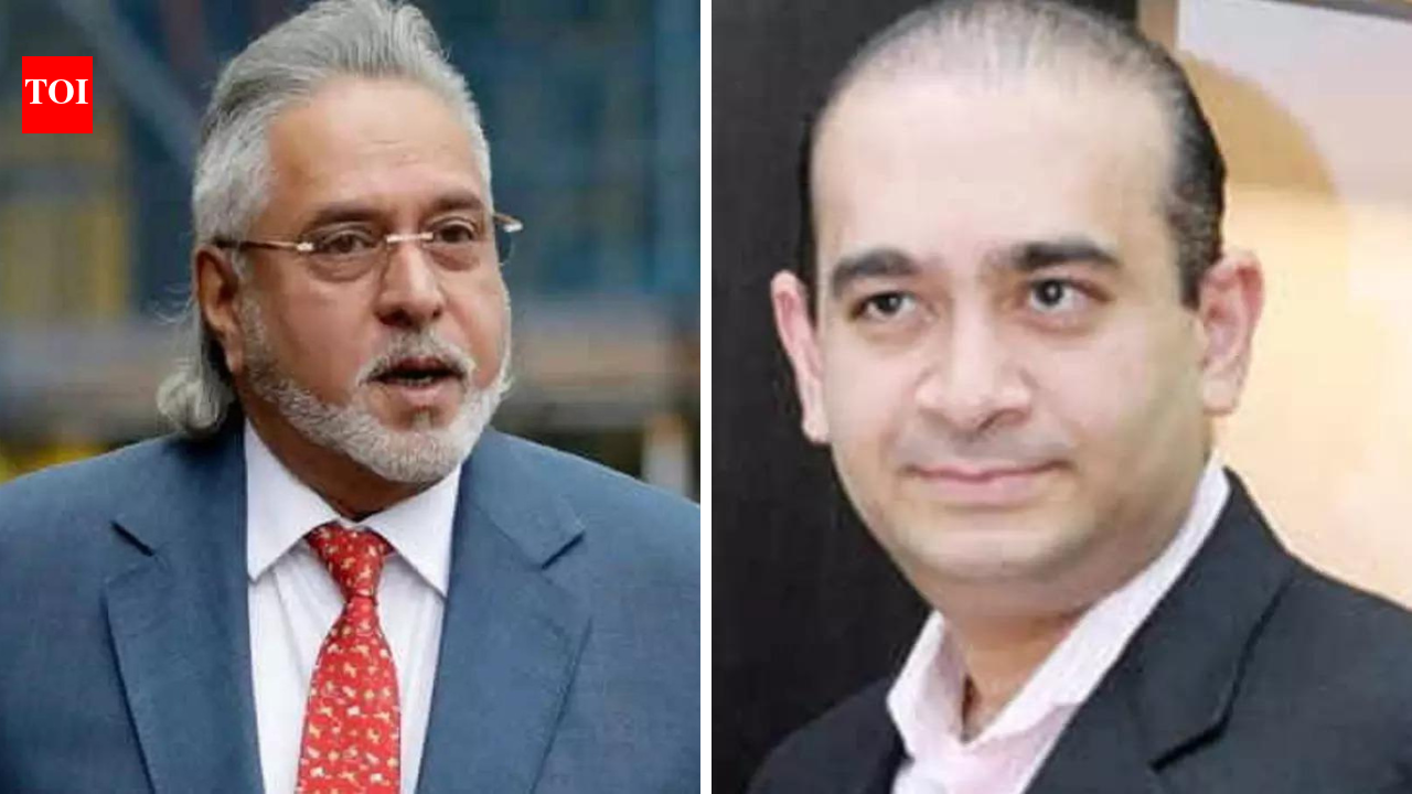 'You are a fool to live so openly, Mallya told Nirav before his arrest'