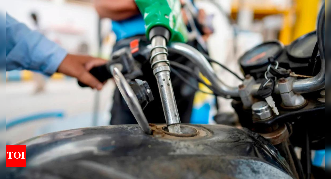 Ethanol kept petrol prices lower: Govt