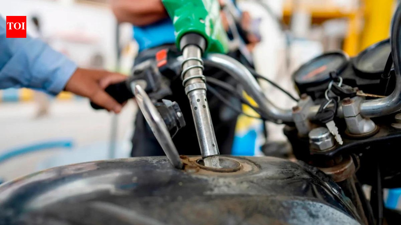 Ethanol kept petrol prices lower: Govt
