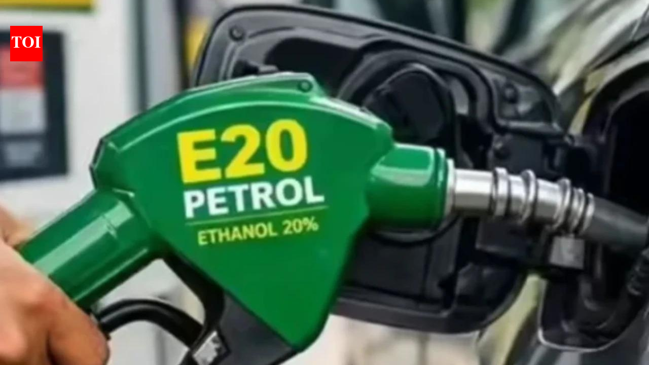 Reaction teams to flag 'fake info' on E20 blending