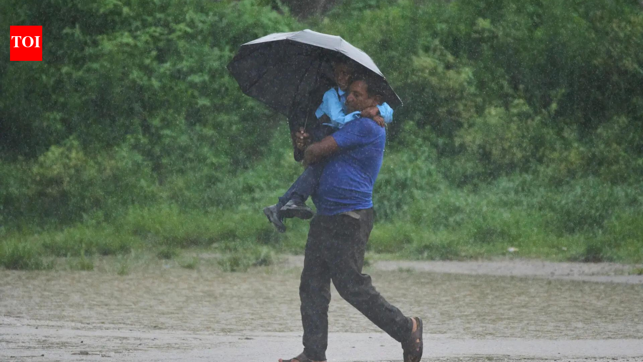 Monsoon likely to be ‘below normal’ in Aug-Sept: IMD