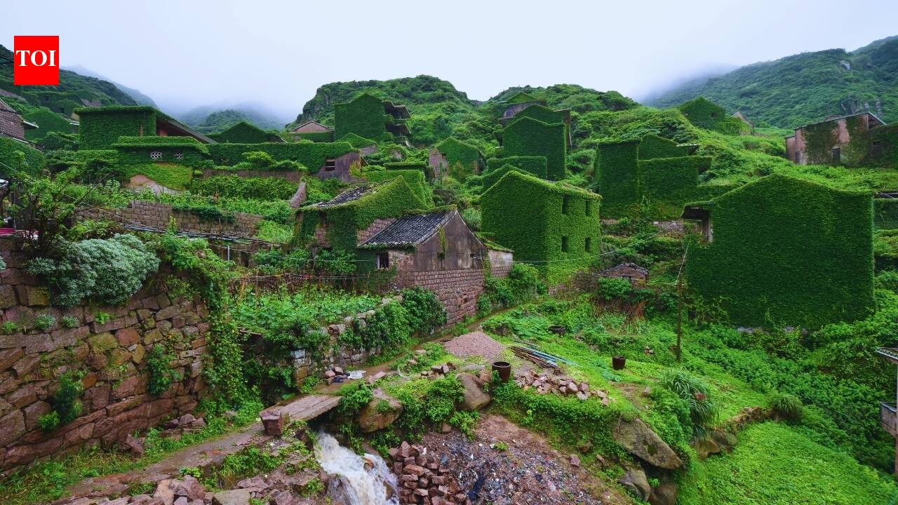 Stunning photos of abandoned cities reclaimed by nature