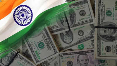 Forex boost: RBI's special swap facility draws $40.8 billion in foreign inflows by July-end