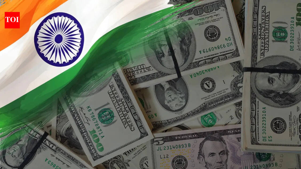 RBI's Special Swap Facility Draws $40.8 Billion in Foreign Inflows by July-End