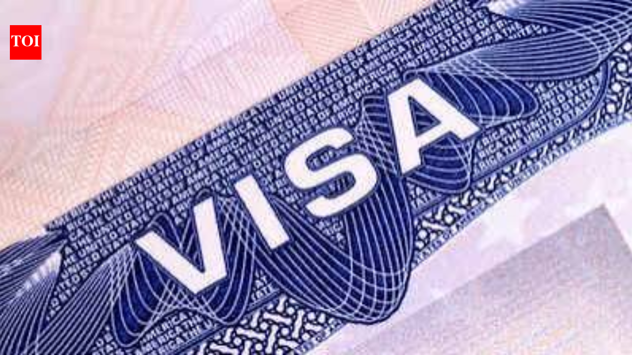 US makes visa bond programme permanent: Effective date, affected countries explained