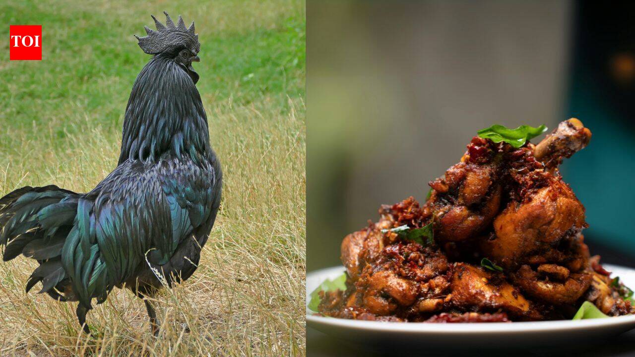 What is Kadaknath Chicken? What makes it the rarest and healthiest meat?