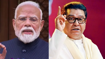 PM Narendra Modi should stop abuses heaped by BJP's trolls: Raj Thackeray