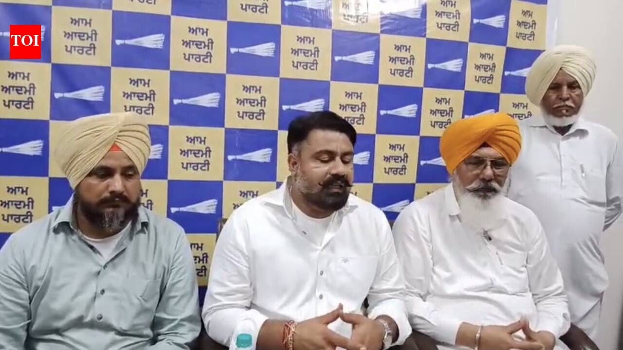 AAP launches outreach as sanitation strike drags on