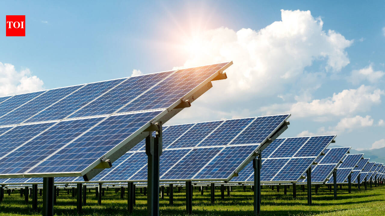 How 832 solar panels help one farm produce food, energy and extra income