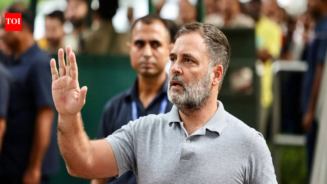 Rahul Gandhi Criticizes Delimitation Plan as Threat to Tamil Nadu Interests