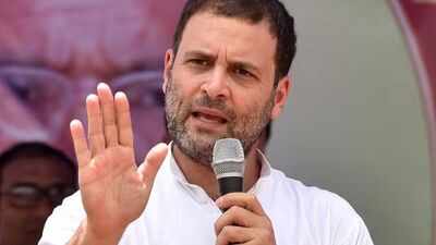 'Sexually explicit language': Cyber complaint filed over 'defamatory' Instagram video targeting Rahul Gandhi
