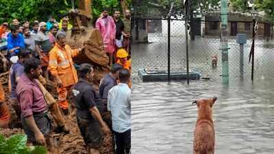 IMD issues red alert for 8 Kerala districts as heavy rains trigger landslides, floods; 6 killed