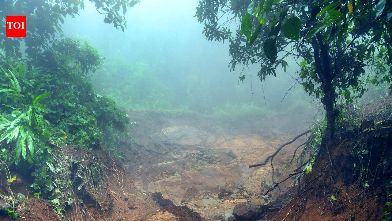Landslides put focus back on land use