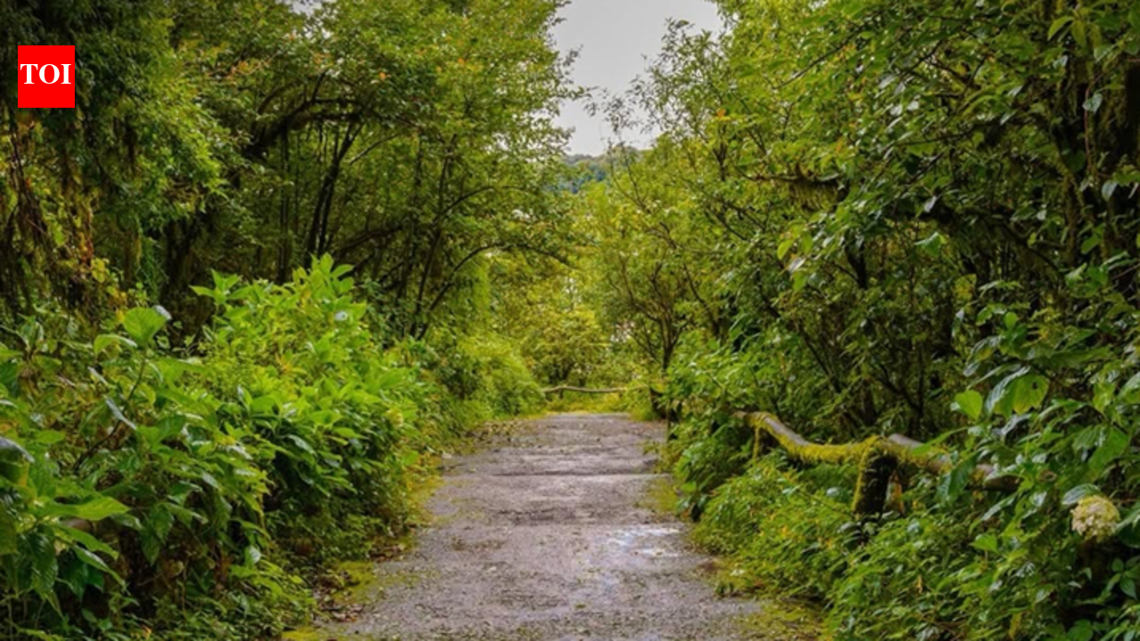Forest Rights Act beneficiary gets primary title entry in revenue records for the first time in Maharashtra