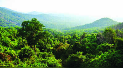 Forum launches signature drive to protect Nethravati, Western Ghats