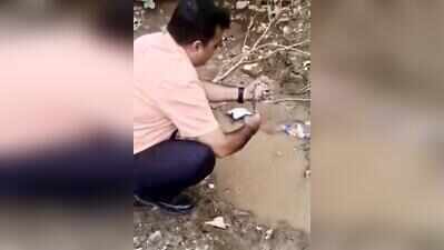 When trash finds its wings: Students build 250 shelters for birds in Noida