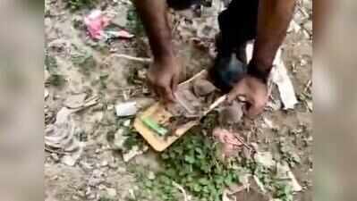 When trash finds its wings: Students build 250 shelters for birds in Noida