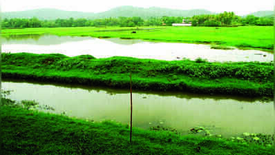 Pernem accounts for over half of 71,916 sq m proposed for settlement zone in latest TCP notification