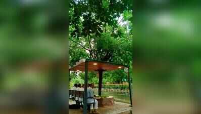 In a first, Ahmedabad gets a bus stop built around tree
