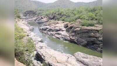 Now, Karnataka turns focus back to Mekedatu project, fresh DPR submission next week