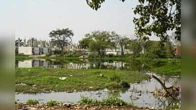 Who’ll protect ponds? NGT seeks answers