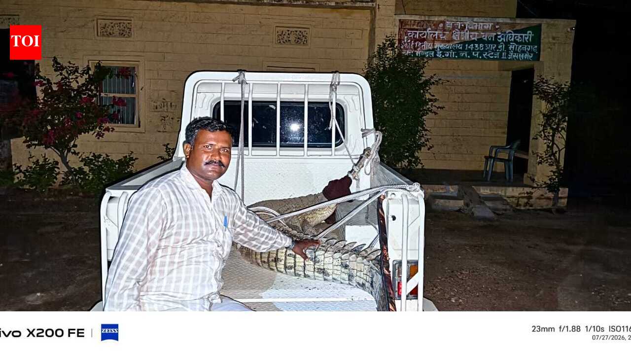 Gharial rescued in Jaisalmer, returned to Punjab for rehabilitation