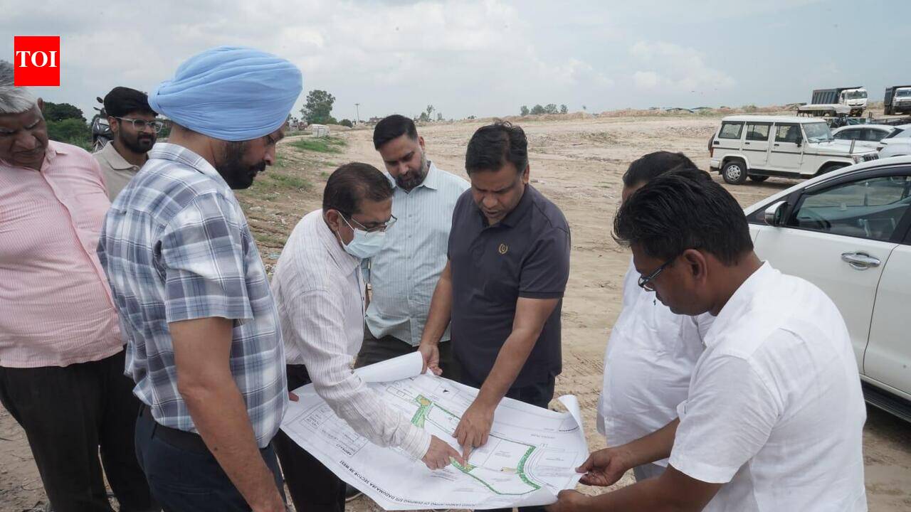 Reclaimed Dadumajra site gets green push