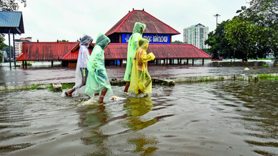 Monsoon hope as WMO sees an El Niño counter