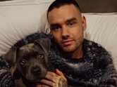 Two women from escort services detail Liam Payne's final hours