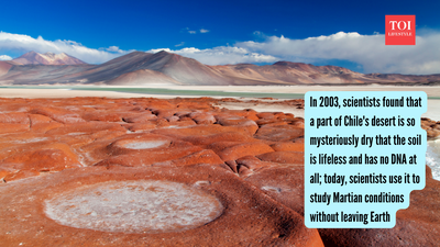 In 2003, scientists found that a part of Chile's desert is so mysteriously dry that the soil is lifeless and has no DNA at all; today, scientists use it to study Martian conditions without leaving Earth