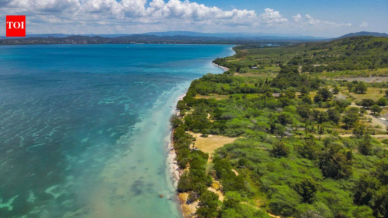 $2 billion luxury coastal project: What Puerto Rico plans to build despite protests