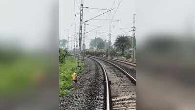 29 wild elephants enter Hazaribag village, damage crops and slow trains