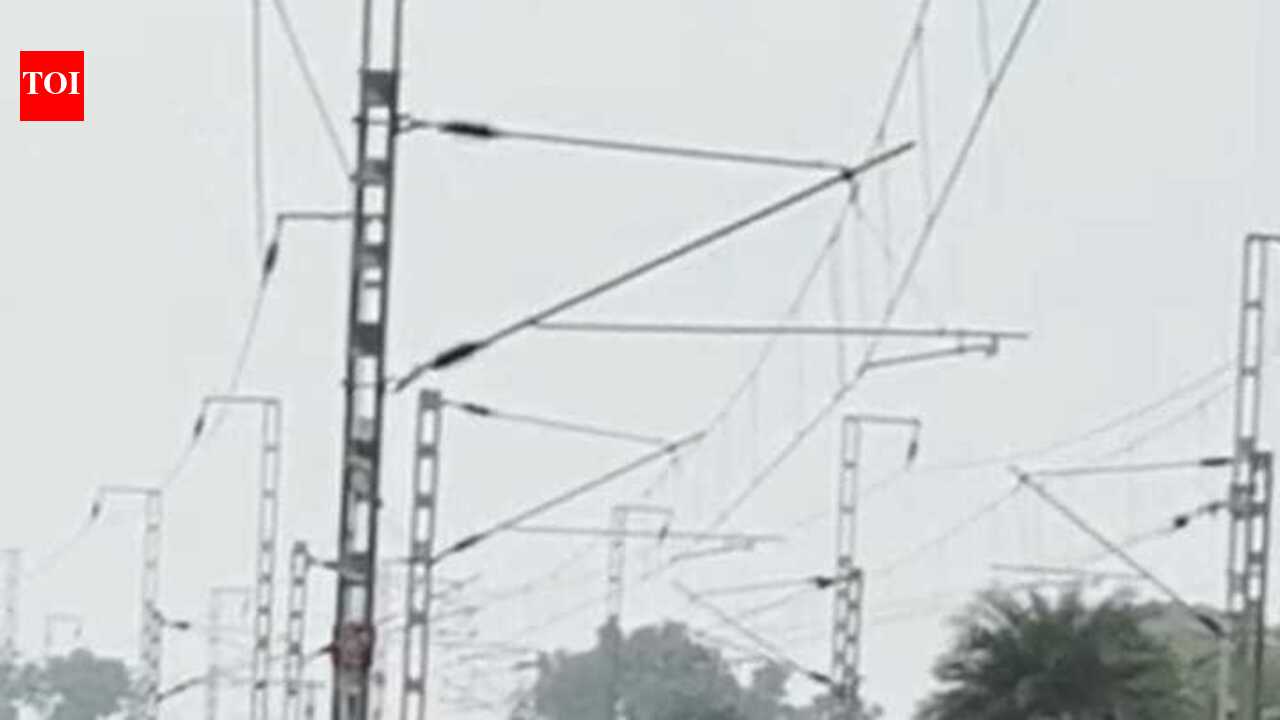 29 wild elephants enter Hazaribag village, damage crops and slow trains