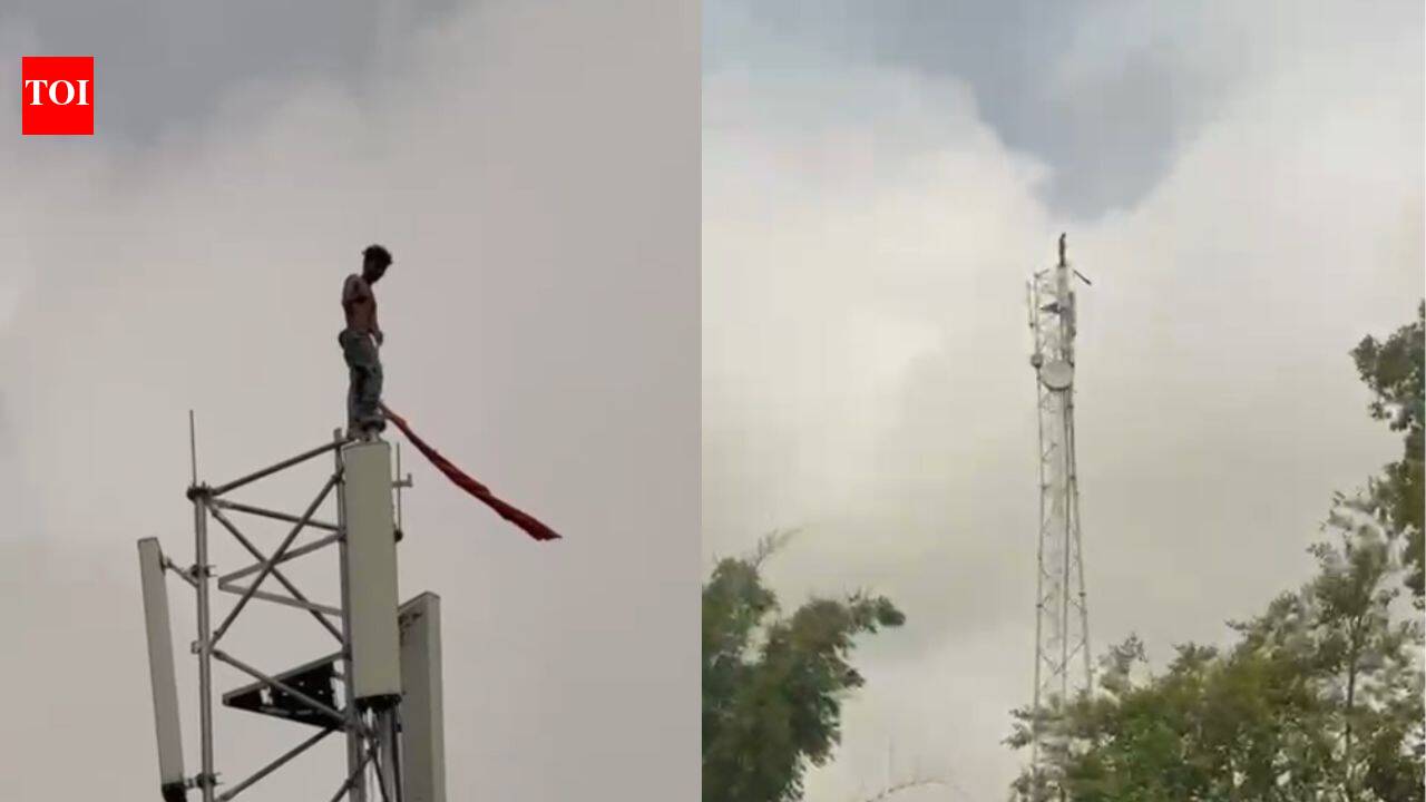 Denied eggs, man reportedly climbs telecom tower, sparks high-voltage drama in Chhattisgarh village
