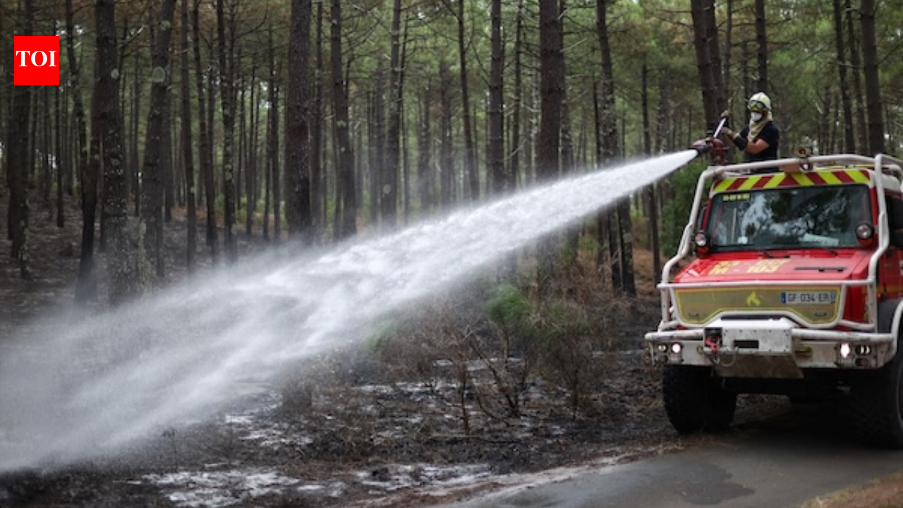 Bordeaux vineyards escaped the immediate wildfires, but repeated heatwaves are shrinking...