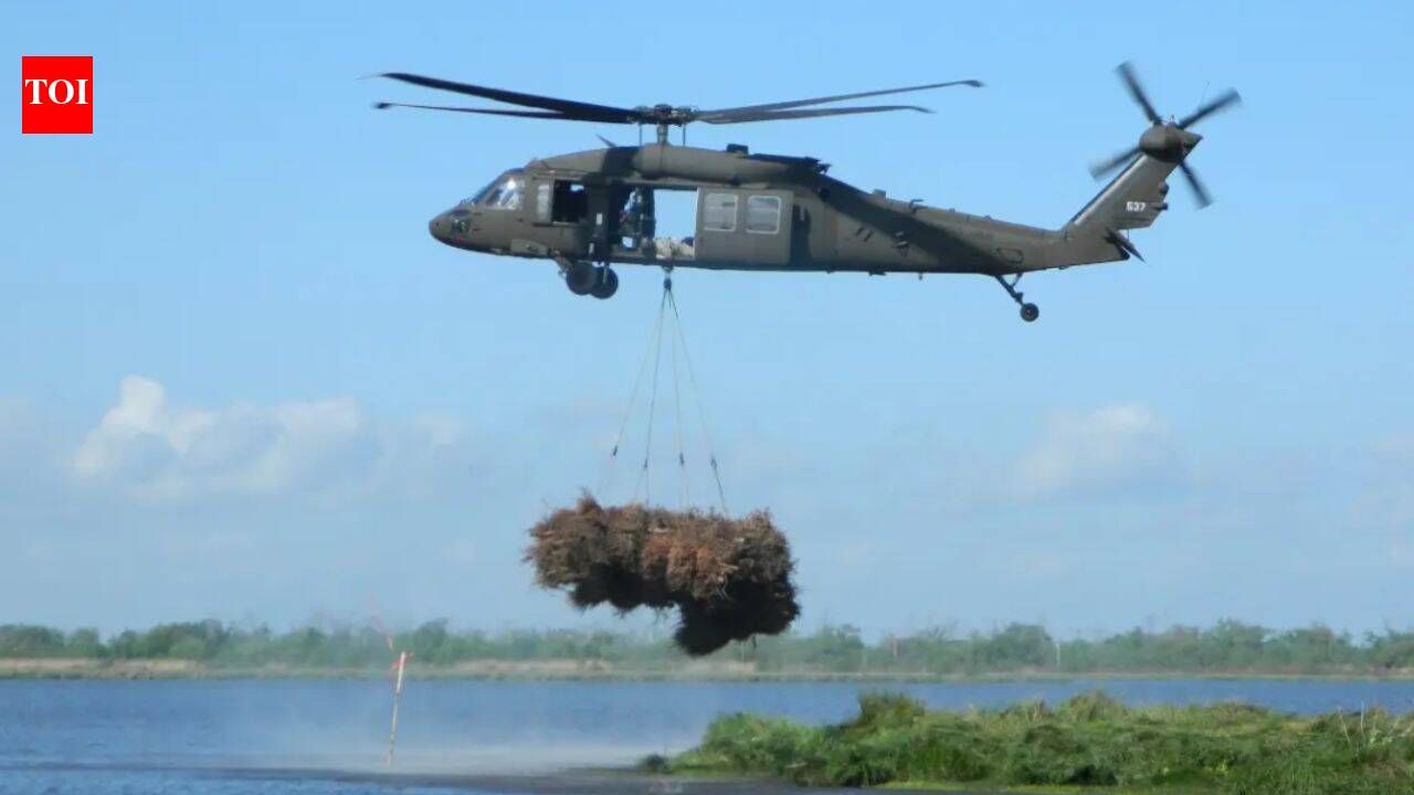 9,000 discarded Christmas trees help restore New Orleans wetlands