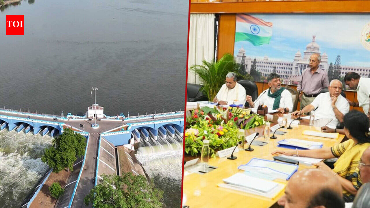 ‘Mekedatu Dam Is Permanent Solution’: Karnataka CM Shivakumar After All-Party Meet On Cauvery Water