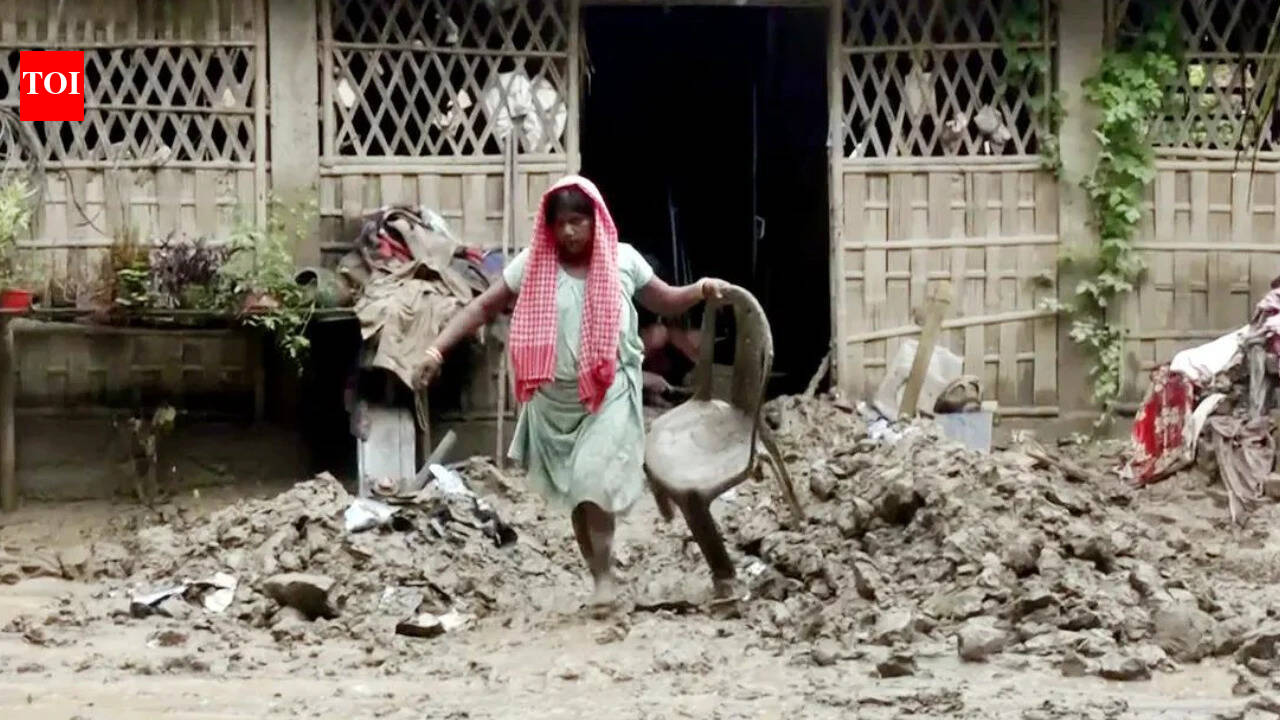 Assam floods: 82 dead, 1.78 lakh affected as relief efforts intensify - key points