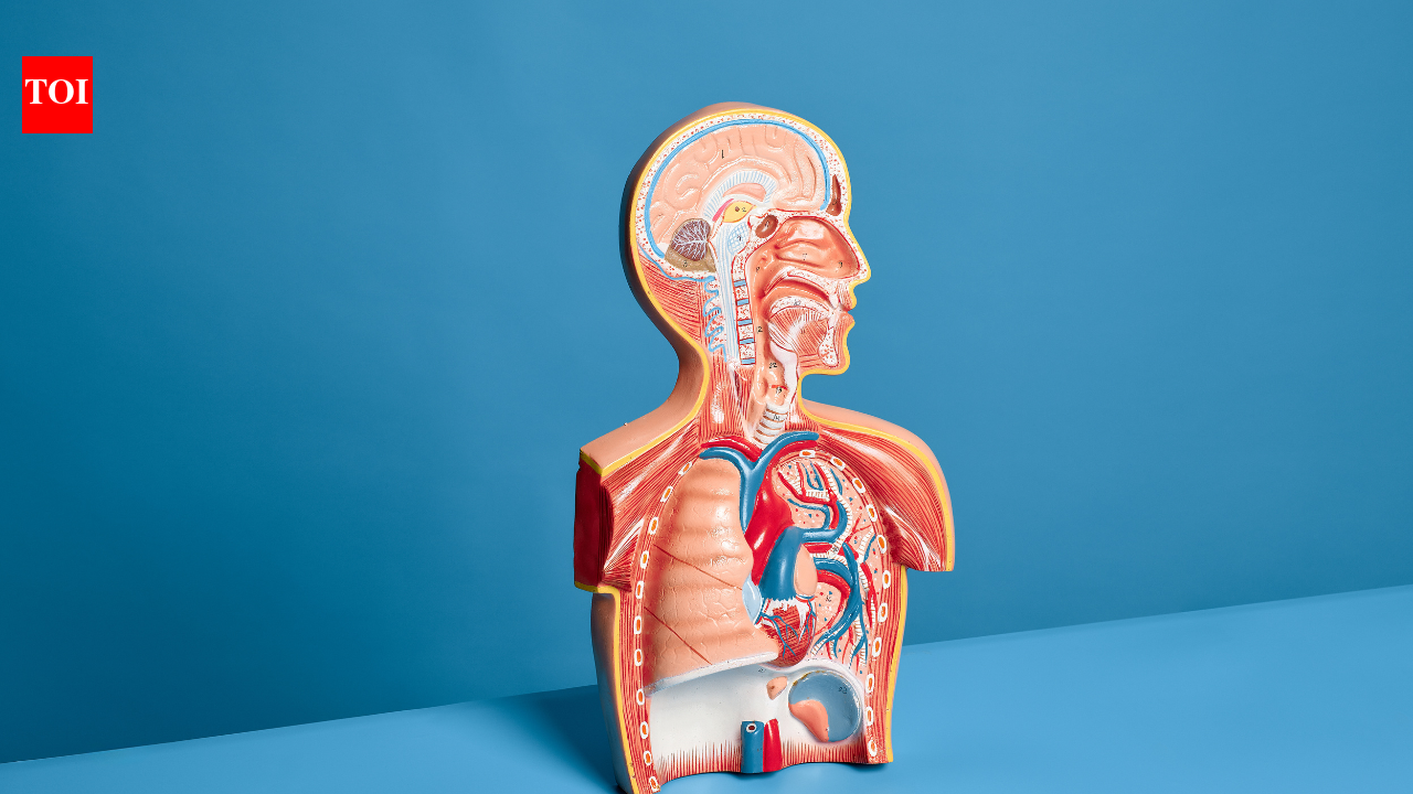 Lung cancer isn't just a smoker's disease: Doctor explains how air pollution, genetics, and everyday exposures may quietly increase your risk