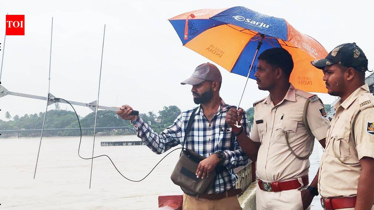 Gharials disperse downstream as Mahanadi swells, 2 tracked through satellite so far