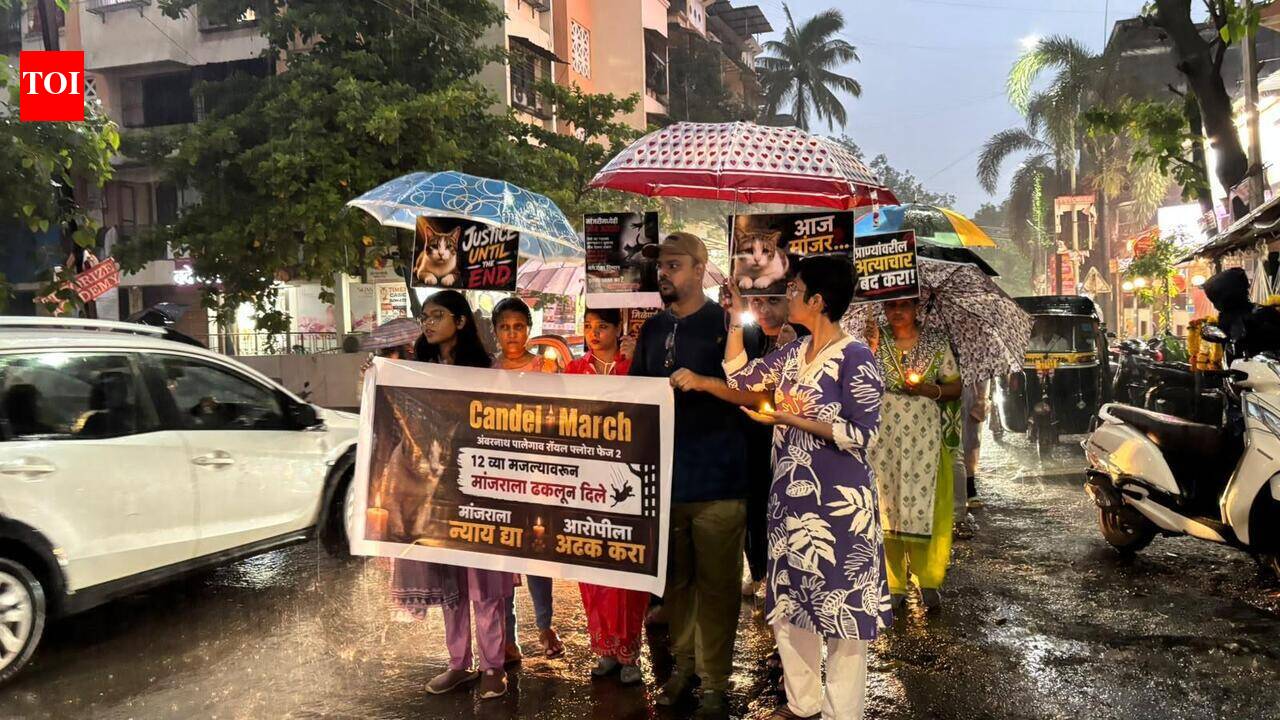 Cat thrown from 12th floor, candlelight protest at Ambernath