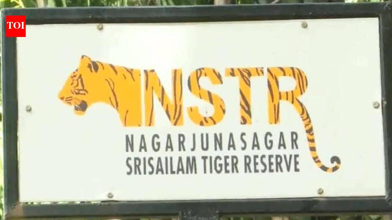 AP govt forms panel to review tiger conservation in NSTR