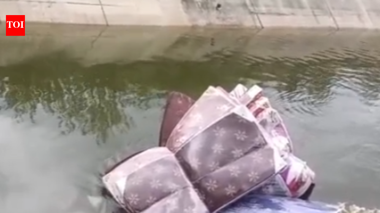 Mattress Trader Drowns as Auto-Rickshaw Plunges Into Krishna Canal