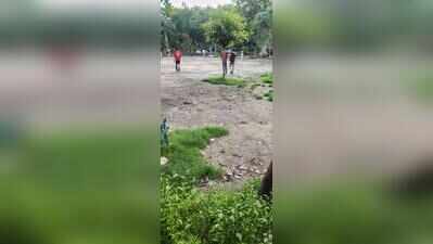 Broken benches to uncut grass: Parks lie in a shambles in Shalimar Garden